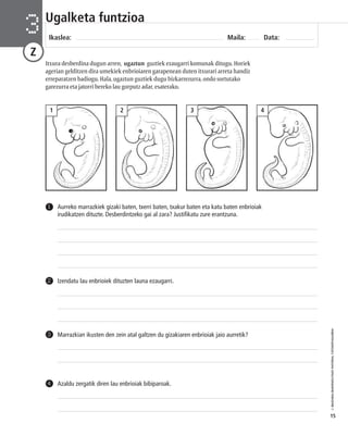 © IBAIZABAL/BAIMENDUTAKO MATERIAL FOTOKOPIAGARRIA 
15 
Ugalketa funtzioa 
Ikaslea: Maila: Data: 3 
Z 
Itxura desberdina dugun arren, ugaztun guztiek ezaugarri komunak ditugu. Horiek 
agerian gelditzen dira umekiek enbrioiaren garapenean duten itxurari arreta handiz 
erreparatzen badiogu. Hala, ugaztun guztiek dugu bizkarrezurra, ondo sortutako 
garezurra eta jatorri bereko lau gorputz adar, esaterako. 
1 2 3 4 
Aurreko marrazkiek gizaki baten, txerri baten, txakur baten eta katu baten enbrioiak 
irudikatzen dituzte. Desberdintzeko gai al zara? Justifikatu zure erantzuna. 
1 
2 Izendatu lau enbrioiek dituzten launa ezaugarri. 
3 Marrazkian ikusten den zein atal galtzen du gizakiaren enbrioiak jaio aurretik? 
4 Azaldu zergatik diren lau enbrioiak bibiparoak. 
 