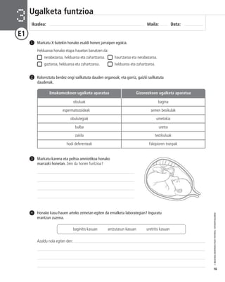 © IBAIZABAL/BAIMENDUTAKO MATERIAL FOTOKOPIAGARRIA 
16 
Ugalketa funtzioa 
Ikaslea: Maila: Data: 3 
E1 
Markatu X batekin honako esaldi honen jarraipen egokia. 
Helduaroa honako etapa hauetan banatzen da: 
nerabezaroa, helduaroa eta zahartzaroa. haurtzaroa eta nerabezaroa. 
gaztaroa, helduaroa eta zahartzaroa. helduaroa eta zahartzaroa. 
Koloreztatu berdez ongi sailkatuta dauden organoak; eta gorriz, gaizki sailkatuta 
daudenak. 
2 
Emakumezkoen ugalketa aparatua Gizonezkoen ugalketa aparatua 
Markatu karena eta poltsa amniotikoa honako 
marrazki honetan. Zein da horien funtzioa? 
3 
Honako kasu hauen arteko zeinetan egiten da ernalketa laborategian? Inguratu 
erantzun zuzena. 
4 
baginitis kasuan antzutasun kasuan uretritis kasuan 
Azaldu nola egiten den: 
1 
obuluak bagina 
espermatozoideak semen besikulak 
obulutegiak umetokia 
bulba uretra 
zakila testikuluak 
hodi deferenteak Falopioren tronpak 
 