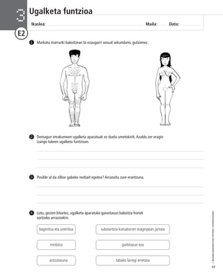 © IBAIZABAL/BAIMENDUTAKO MATERIAL FOTOKOPIAGARRIA 
17 
Ugalketa funtzioa 
Ikaslea: Maila: Data: 3 
E2 
1 Markatu marrazki bakoitzean bi ezaugarri sexual sekundario, gutxienez. 
Demagun emakumeen ugalketa aparatuak ez duela umetokirik. Azaldu zer eragin 
izango lukeen ugalketa funtzioan. 
2 
3 Posible al da zilbor gabeko norbait egotea? Arrazoitu zure erantzuna. 
Lotu, gezien bitartez, ugalketa aparatuko gaixotasun bakoitza horiek 
sortzeko arrazoiekin. 
4 
baginitisa eta uretritisa 
minbizia 
antzutasuna 
substantzia kutsakorren eraginpean jartzea 
garbitasun eza 
tabako larregi erretzea 
 