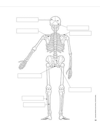 © IBAIZABAL/BAIMENDUTAKO MATERIAL FOTOKOPIAGARRIA 
64 
 
