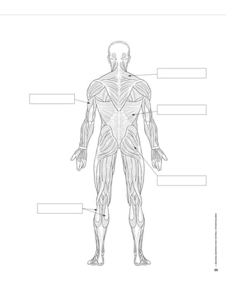 © IBAIZABAL/BAIMENDUTAKO MATERIAL FOTOKOPIAGARRIA 
66 
 
