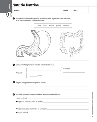 © IBAIZABAL/BAIMENDUTAKO MATERIAL FOTOKOPIAGARRIA 
6 
Nutrizio funtzioa 
Ikaslea: Maila: Data: 1 
E1 
Idatzi marrazkien azpian bakoitzak irudikatzen duen organoaren izena. Ondoren, 
esan honako elementu hauek non dauden. 
1 
Osatu arnasketa prozesuari buruzko honako eskema hau. 
arnasgora 
_________________________________ 
_________________________ Arnasketa 
_________ trukea 
2 
3 Zergatik dira garrantzitsuak globulu zuriak? 
Idatzi zer gaixotasun eragin ditzaketen honako ohitura txar hauek. 
• Asko erretzeak: _________________________________________________________________________ 
• Koipe asko jateak eta kirolik ez egiteak: _______________________________________________________ 
____________________________________________________________________________________ 
• Gozoki asko jateak eta hortzak ez garbitzeak: __________________________________________________ 
• Ur gutxi edateak: __________________________________________________________________________ 
4 
kardia itsua kolona piloroa ondestea 
 