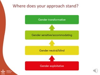 Integrating gender considerations into livestock genetic improvement in low to middle income countries: A conceptual framework
