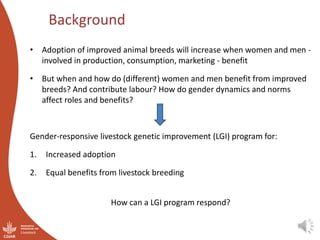 Integrating gender considerations into livestock genetic improvement in low to middle income countries: A conceptual framework