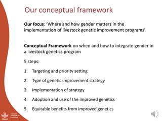 Integrating gender considerations into livestock genetic improvement in low to middle income countries: A conceptual framework