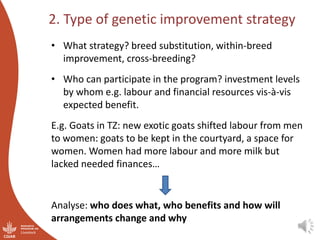 Integrating gender considerations into livestock genetic improvement in low to middle income countries: A conceptual framework