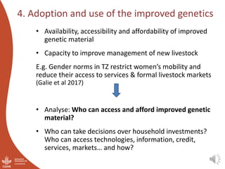 Integrating gender considerations into livestock genetic improvement in low to middle income countries: A conceptual framework
