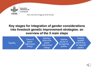 Integrating gender considerations into livestock genetic improvement in low to middle income countries: A conceptual framework