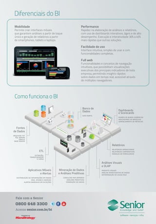 Senior BI