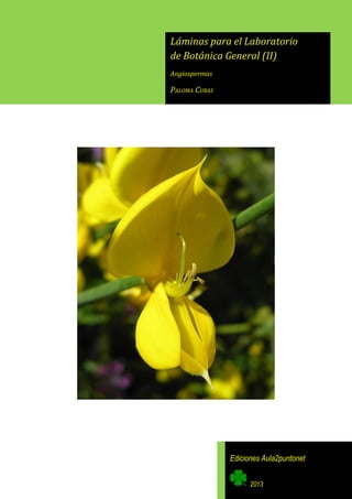Láminas para el Laboratorio
de Botánica General (II)
Angiospermas
PALOMA CUBAS
Ediciones Aula2puntonet
2013
 