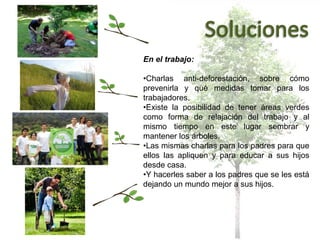 En el trabajo:
•Charlas anti-deforestación, sobre cómo
prevenirla y qué medidas tomar para los
trabajadores.
•Existe la posibilidad de tener áreas verdes
como forma de relajación del trabajo y al
mismo tiempo en este lugar sembrar y
mantener los árboles.
•Las mismas charlas para los padres para que
ellos las apliquen y para educar a sus hijos
desde casa.
•Y hacerles saber a los padres que se les está
dejando un mundo mejor a sus hijos.
 