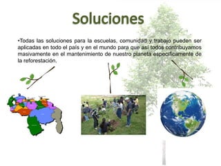 •Todas las soluciones para la escuelas, comunidad y trabajo pueden ser
aplicadas en todo el país y en el mundo para que así todos contribuyamos
masivamente en el mantenimiento de nuestro planeta específicamente de
la reforestación.
 