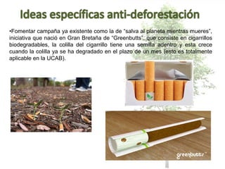 •Fomentar campaña ya existente como la de “salva al planeta mientras mueres”,
iniciativa que nació en Gran Bretaña de “Greenbutts”, que consiste en cigarrillos
biodegradables, la colilla del cigarrillo tiene una semilla adentro y esta crece
cuando la colilla ya se ha degradado en el plazo de un mes (esto es totalmente
aplicable en la UCAB).
 