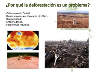 •Calentamiento Global.
•Repercusiones en el cambio climático.
•Biodiversidad.
•Enfermedades.
•Perder más recursos.
 