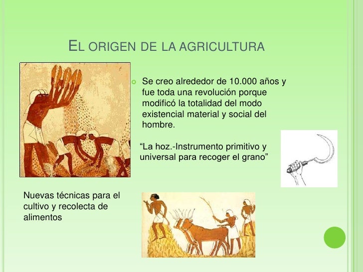 Historia Agricultura