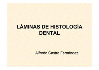 LÁMINAS DE HISTOLOGÍA
       DENTAL


     Alfredo Castro Fernández
 