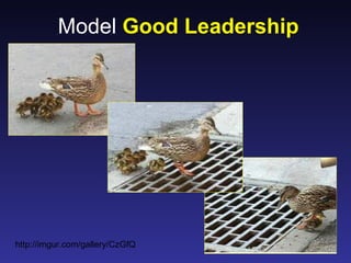 Model Good Leadership




http://imgur.com/gallery/CzGfQ
 