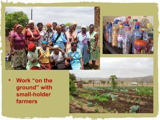 • Work “on the
  ground” with
  small-holder
  farmers
 
