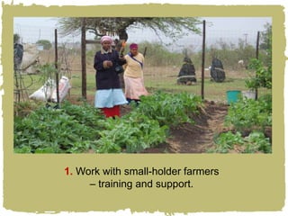 1. Work with small-holder farmers
     – training and support.
 