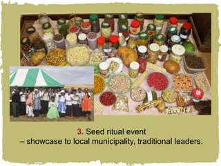 3. Seed ritual event
– showcase to local municipality, traditional leaders.
 