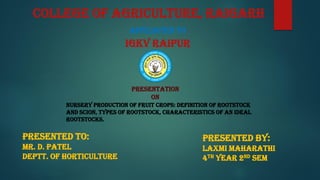 COLLEGE OF AGRICULTURE, RAIGARH
Nursery production of fruit crops: Definition of rootstock
and scion, types of rootstock, characteristics of an ideal
rootstocks.
Presentation
on
Presented To:
Mr. D. PATEL
DEPTT. OF HORTICULTURE
Presented By:
LAXMI MAHARATHI
4TH YEAR 2ND SEM
AFFILIATED TO
IGKV RAIPUR
 