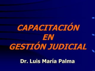 CAPACITACIÓN
      EN
GESTIÓN JUDICIAL
  Dr. Luis María Palma
 
