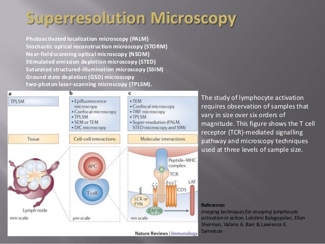 Scanning Near Field Microscopy Principles And Modes Of Operation