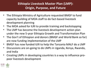 Using the Livestock Master Plan (LMP) process to influence pro-poor livestock development in Ethiopia and Tanzania