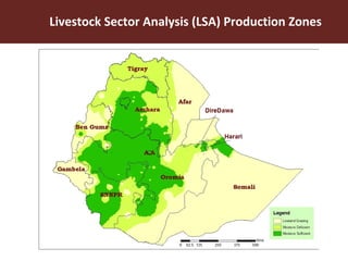 Using the Livestock Master Plan (LMP) process to influence pro-poor livestock development in Ethiopia and Tanzania