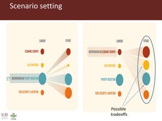 LMP process and its support for the incorporation of livestock in NAIPs