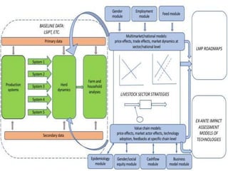 LMP process and its support for the incorporation of livestock in NAIPs
