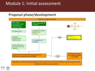 LMP process and its support for the incorporation of livestock in NAIPs