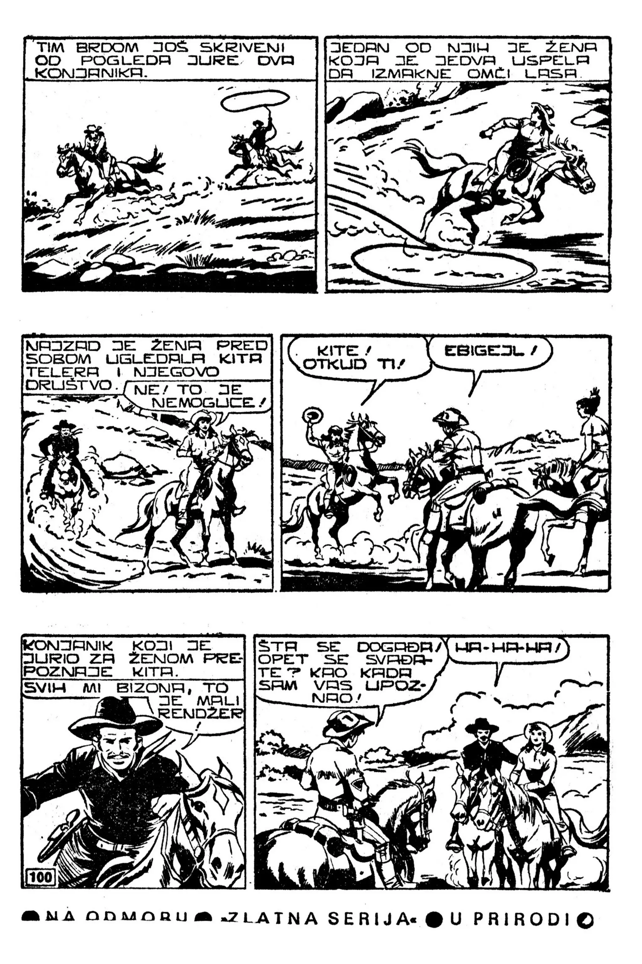 LMS 067 - Kit Teler - Sivi vuk