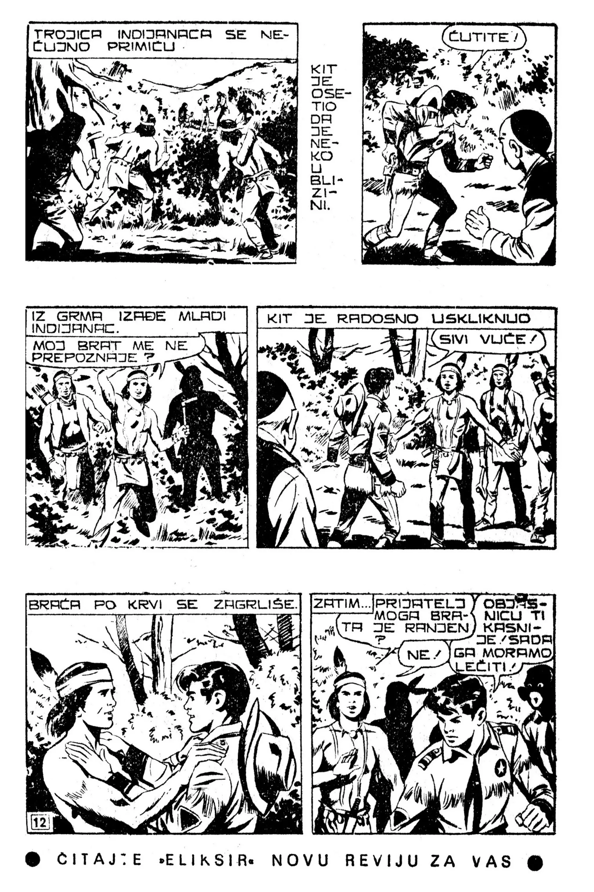 LMS 067 - Kit Teler - Sivi vuk