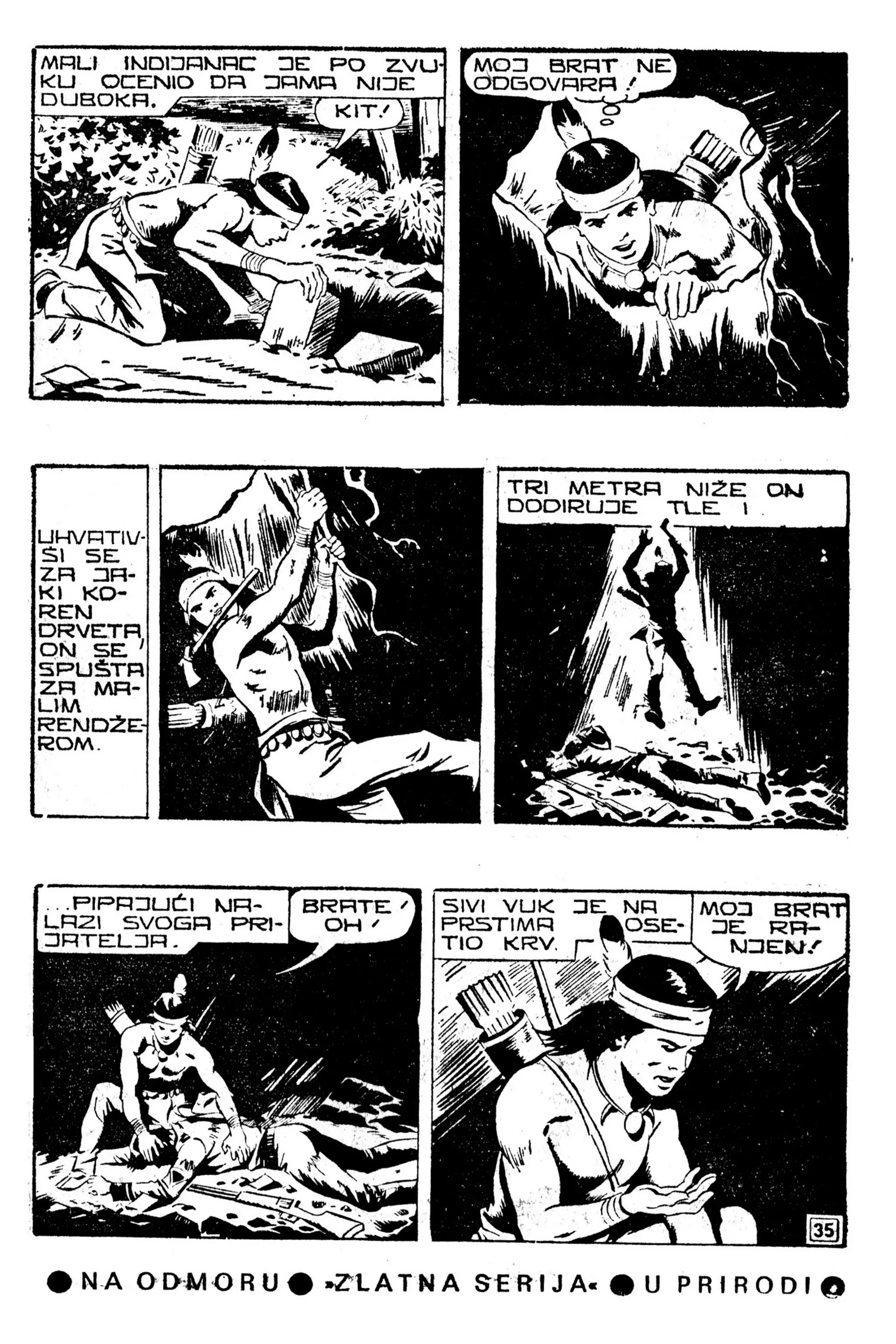 LMS 067 - Kit Teler - Sivi vuk