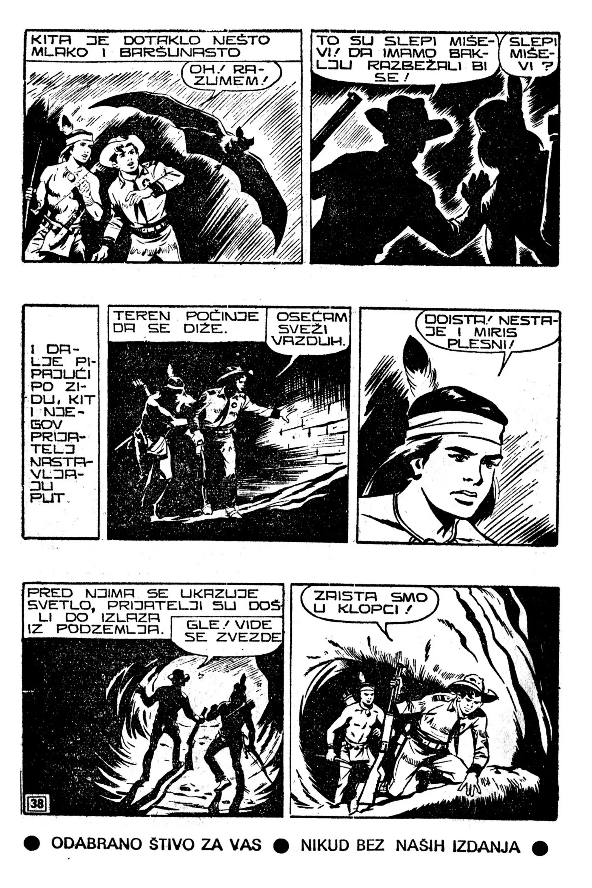 LMS 067 - Kit Teler - Sivi vuk