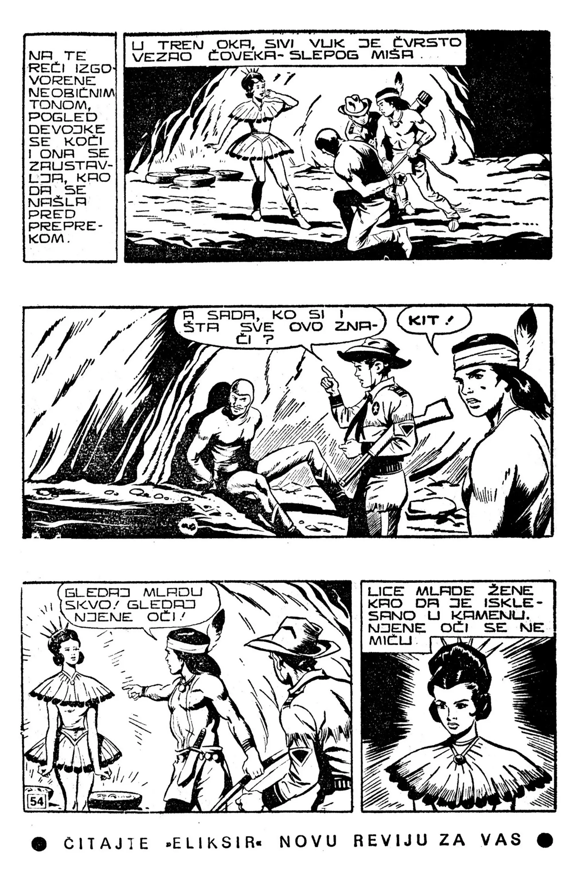 LMS 067 - Kit Teler - Sivi vuk