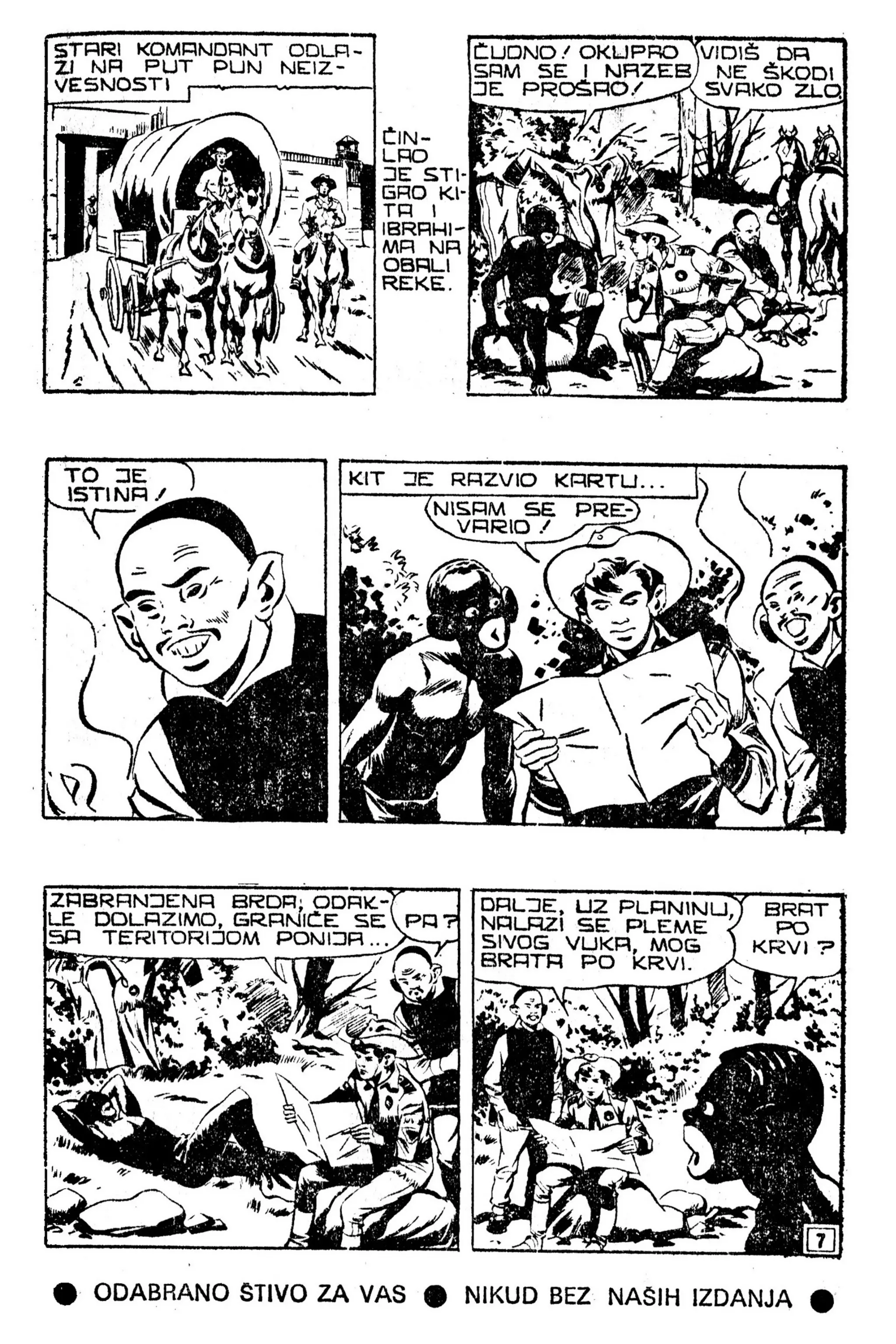 LMS 067 - Kit Teler - Sivi vuk