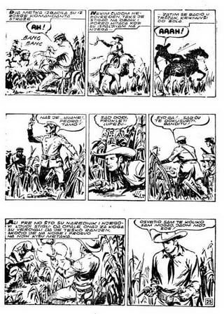 Lms 009. Opasna Tajna