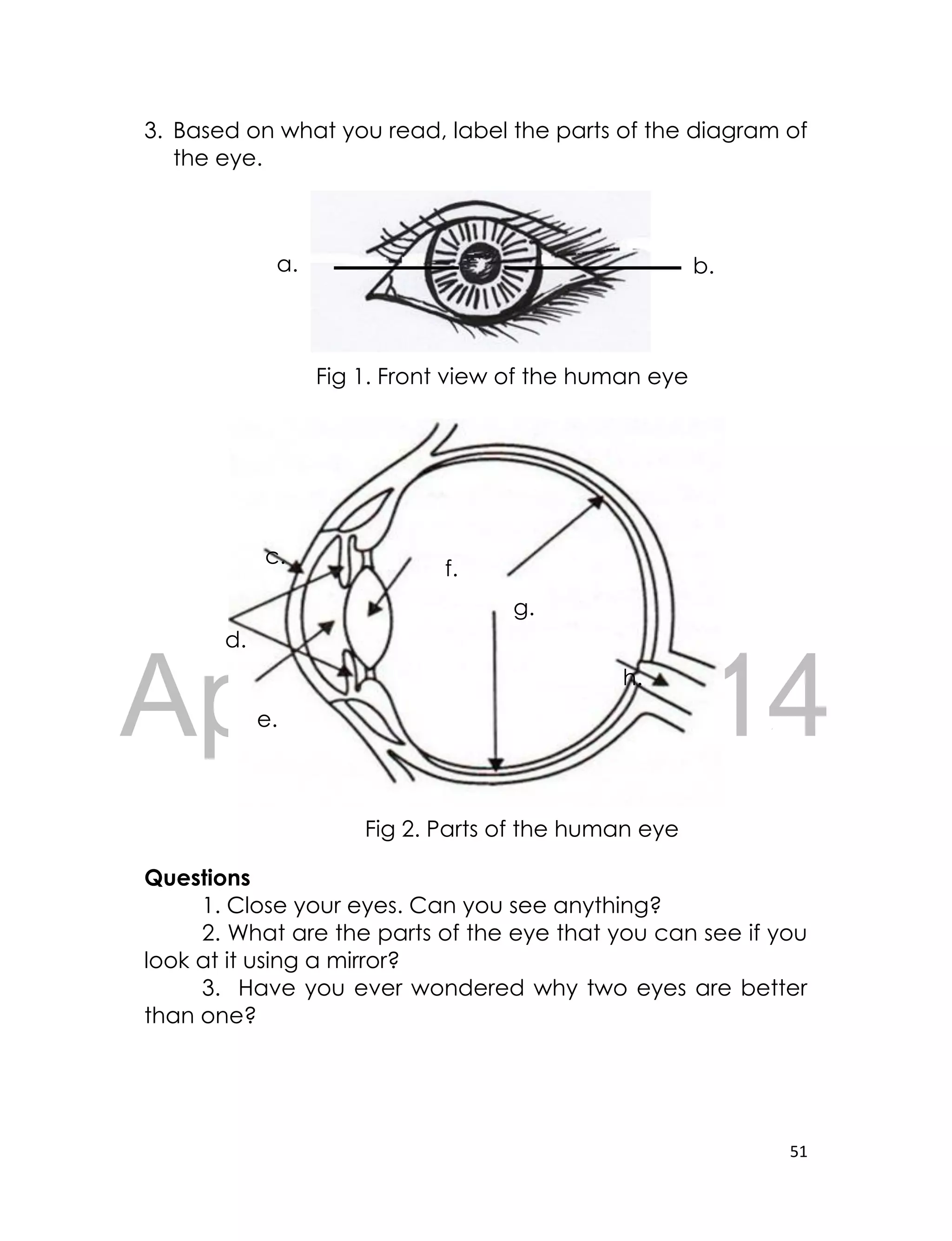 DRAFT
April 10, 2014
51
3. Based on what you read, label the parts of the diagram of
the eye.
Questions
1. Close your eyes. Can you see anything?
2. What are the parts of the eye that you can see if you
look at it using a mirror?
3. Have you ever wondered why two eyes are better
than one?
Fig 2. Parts of the human eye
c.
d.
e.
f.
g.
h.
Fig 1. Front view of the human eye
a. b.
 