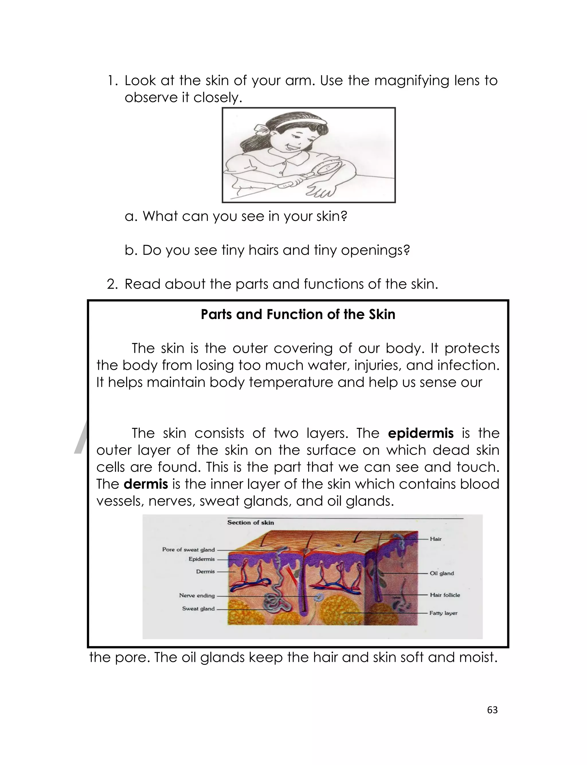 DRAFT
April 10, 2014
63
1. Look at the skin of your arm. Use the magnifying lens to
observe it closely.
a. What can you see in your skin?
b. Do you see tiny hairs and tiny openings?
2. Read about the parts and functions of the skin.
The sweat glands open the surface of the skin through
the pore. The oil glands keep the hair and skin soft and moist.
Parts and Function of the Skin
The skin is the outer covering of our body. It protects
the body from losing too much water, injuries, and infection.
It helps maintain body temperature and help us sense our
The skin consists of two layers. The epidermis is the
outer layer of the skin on the surface on which dead skin
cells are found. This is the part that we can see and touch.
The dermis is the inner layer of the skin which contains blood
vessels, nerves, sweat glands, and oil glands.
 
