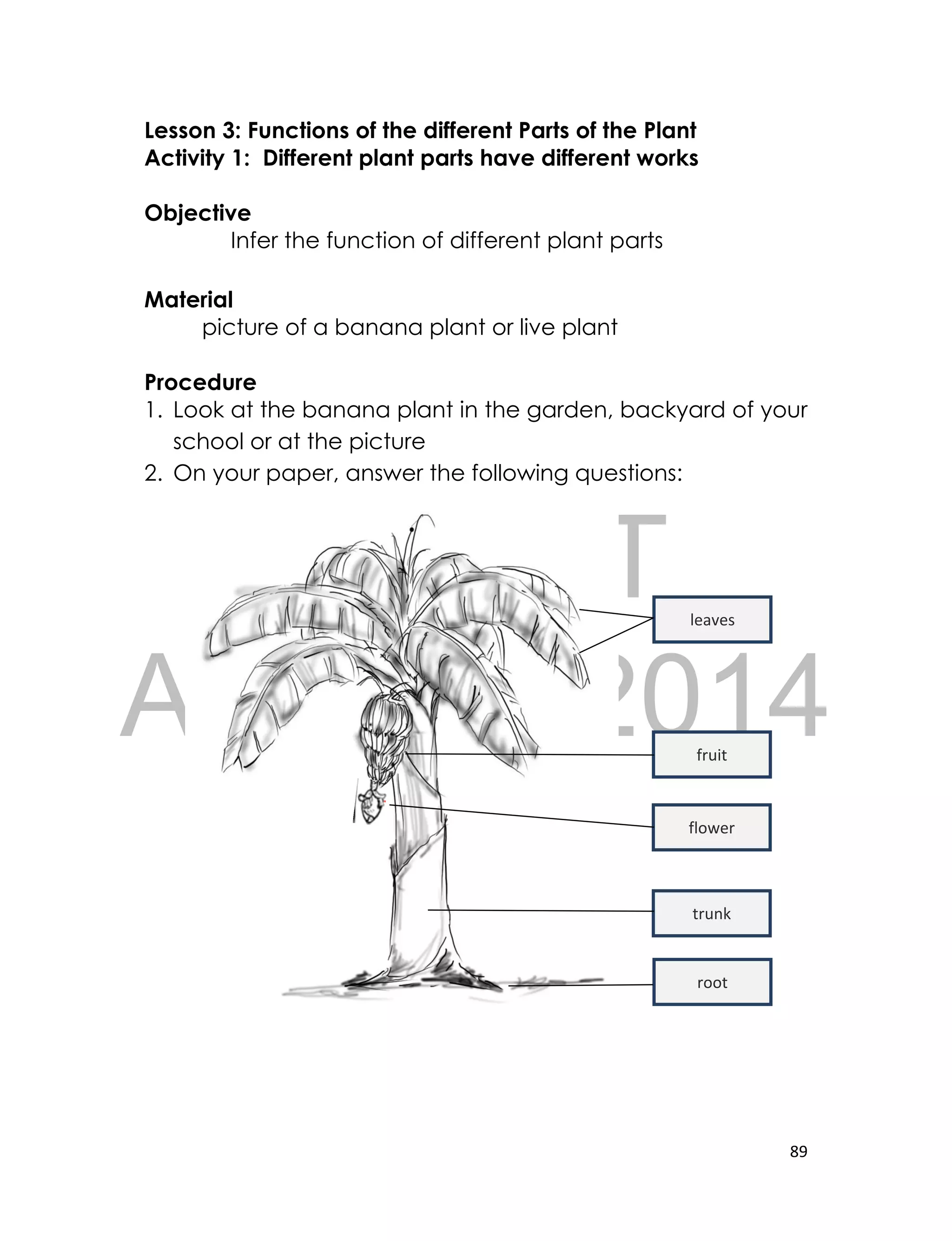 DRAFT
April 10, 2014
89
Lesson 3: Functions of the different Parts of the Plant
Activity 1: Different plant parts have different works
Objective
Infer the function of different plant parts
Material
picture of a banana plant or live plant
Procedure
1. Look at the banana plant in the garden, backyard of your
school or at the picture
2. On your paper, answer the following questions:
leaves
fruit
flower
trunk
root
 