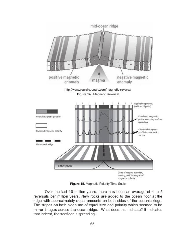 SCIENCE GRADE 10 LEARNER'S MODULE