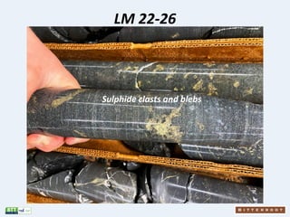 LM 22-26
Sulphide clasts and blebs
 
