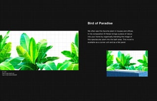 Bird of Paradise

                      We often see this favorite plant in houses and offices.
                      In his composition El-Notan brings a piece of nature
                      into your home by organically blending the image of
                      this spectacular plant into the bath area. This mural is
                      available as a corner unit and as a flat panel.




© LMT
Item # BA1032FLAT
Item # BA1032CORNER
 