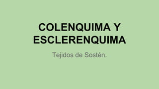 COLENQUIMA Y
ESCLERENQUIMA
Tejidos de Sostén.
 