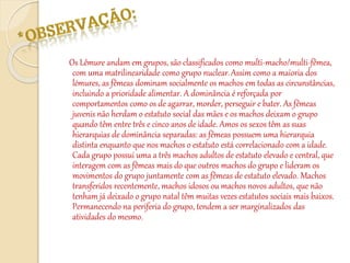 Os Lêmure andam em grupos, são classificados como multi-macho/multi-fêmea,
com uma matrilinearidade como grupo nuclear.Assim como a maioria dos
lémures, as fêmeas dominam socialmente os machos em todas as circunstâncias,
incluindo a prioridade alimentar. A dominância é reforçada por
comportamentos como os de agarrar, morder, perseguir e bater. As fêmeas
juvenis não herdam o estatuto social das mães e os machos deixam o grupo
quando têm entre três e cinco anos de idade. Amos os sexos têm as suas
hierarquias de dominância separadas: as fêmeas possuem uma hierarquia
distinta enquanto que nos machos o estatuto está correlacionado com a idade.
Cada grupo possui uma a três machos adultos de estatuto elevado e central, que
interagem com as fêmeas mais do que outros machos do grupo e lideram os
movimentos do grupo juntamente com as fêmeas de estatuto elevado. Machos
transferidos recentemente, machos idosos ou machos novos adultos, que não
tenham já deixado o grupo natal têm muitas vezes estatutos sociais mais baixos.
Permanecendo na periferia do grupo, tendem a ser marginalizados das
atividades do mesmo.
 