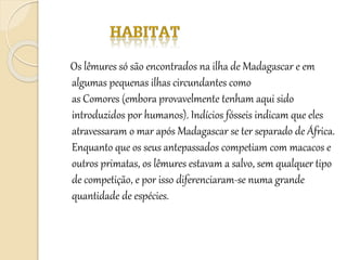 Os lêmures só são encontrados na ilha de Madagascar e em
algumas pequenas ilhas circundantes como
as Comores (embora provavelmente tenham aqui sido
introduzidos por humanos). Indícios fósseis indicam que eles
atravessaram o mar após Madagascar se ter separado de África.
Enquanto que os seus antepassados competiam com macacos e
outros primatas, os lêmures estavam a salvo, sem qualquer tipo
de competição, e por isso diferenciaram-se numa grande
quantidade de espécies.
 