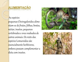 As espécies
pequenas Cheirogaleoidea alime
ntam-se de frutos, folhas, brotos,
néctar, insetos, pequenos
vertebrados e ovos roubados de
outros animais. Os resto das
espécies Lemuroidea são
essencialmente herbívoros,
embora possam complementar a
dieta com insetos.
 