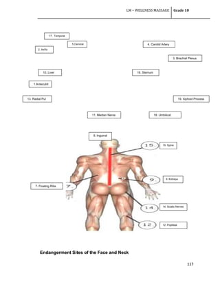 LM – WELLNESS MASSAGE Grade 10
117
Endangerment Sites of the Face and Neck
1.Antecubit
al
2. Axilla
3. Brachial Plexus
18. Umbilical
5.Cervical 4. Carotid Artery
19. Xiphoid Process
16. Sternum10. Liver
17. Temporal
8. Inguinal
11. Median Nerve
13. Radial Pul
12. Popliteal
14. Sciatic Nerves
9. Kidneys
15. Spine
7. Floating Ribs
 